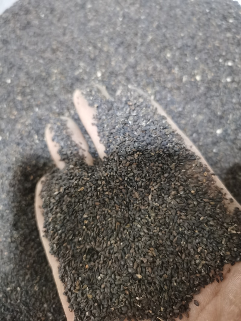 车前子正品江西车前子泽润中药批发零售各种中药材