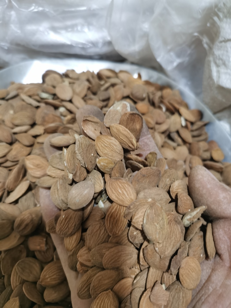 桃仁正品家种扁桃仁颗粒饱满批发零售各种中药材