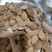 桃仁正品家种扁桃仁颗粒饱满批发零售各种中药材