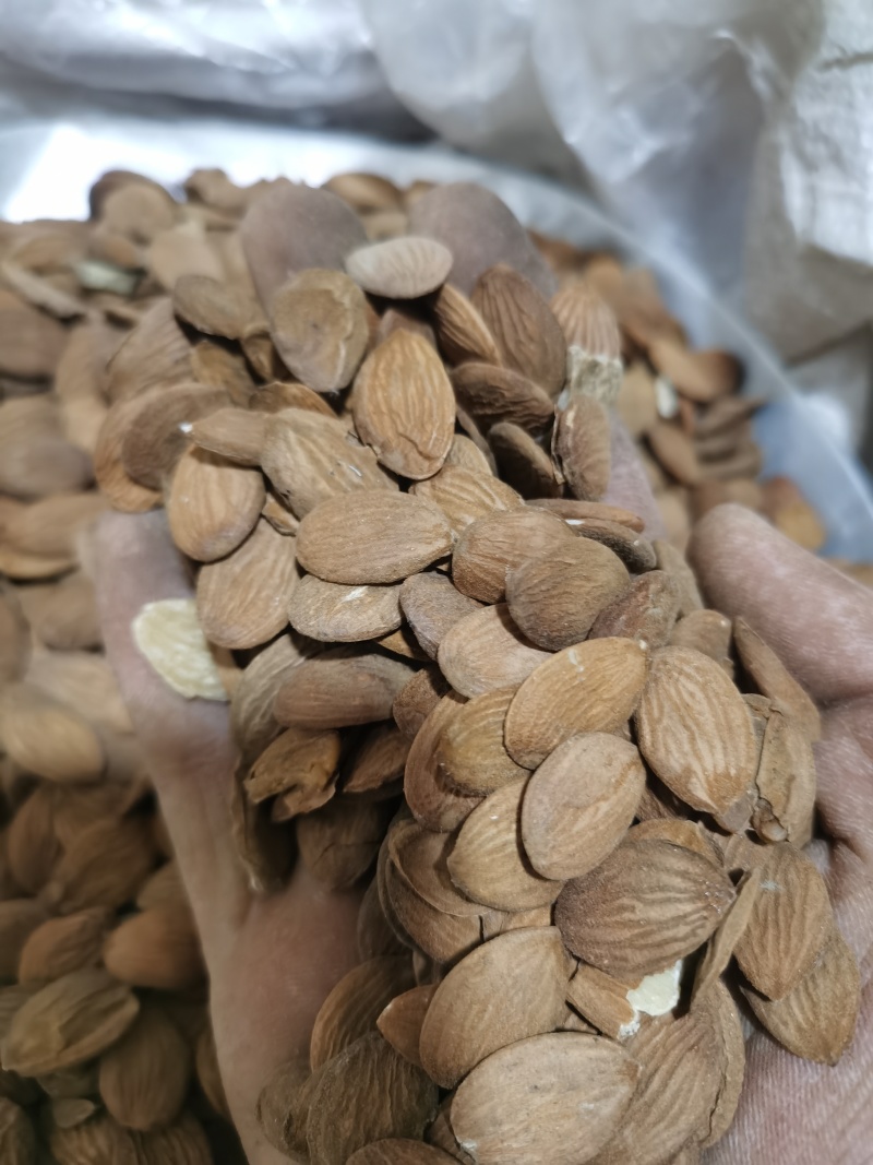 桃仁正品家种扁桃仁颗粒饱满批发零售各种中药材