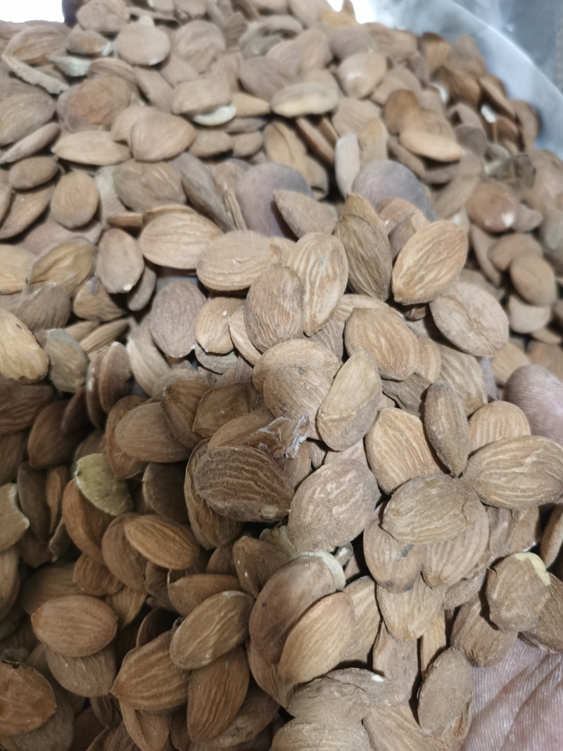 桃仁正品家种扁桃仁颗粒饱满批发零售各种中药材