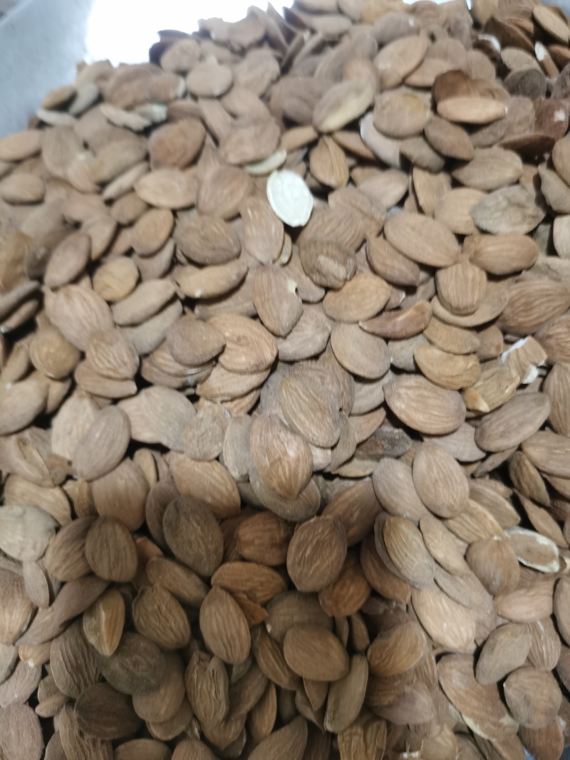 桃仁正品家种扁桃仁颗粒饱满批发零售各种中药材