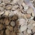 桃仁正品家种扁桃仁颗粒饱满批发零售各种中药材