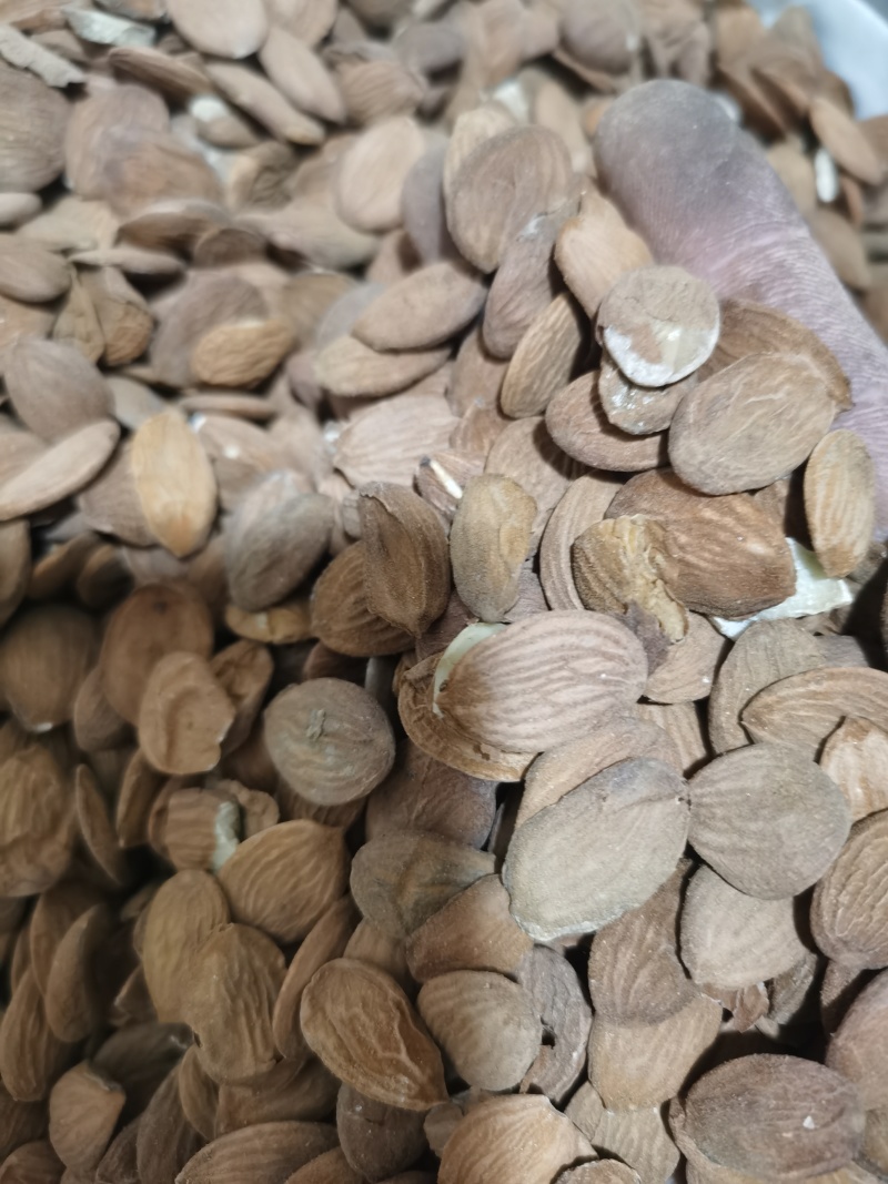 桃仁正品家种扁桃仁颗粒饱满批发零售各种中药材