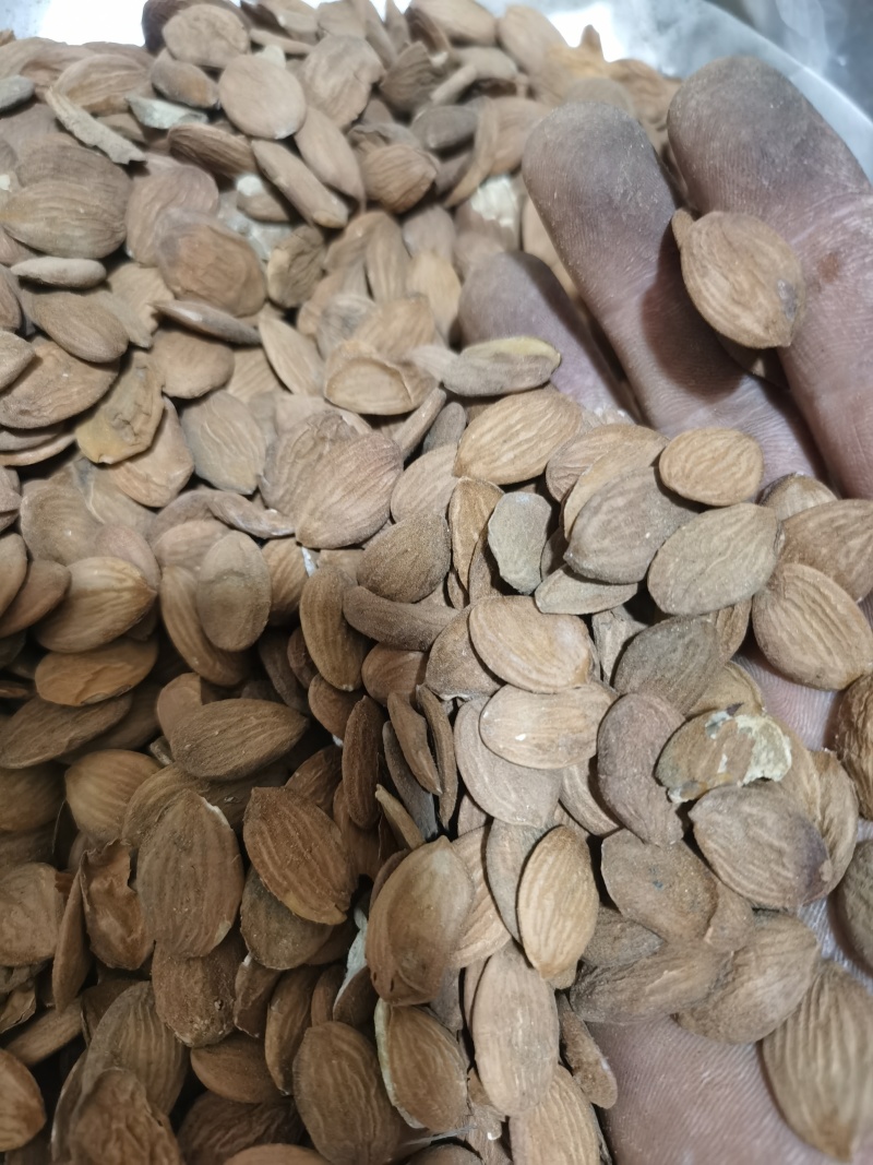 桃仁正品家种扁桃仁颗粒饱满批发零售各种中药材