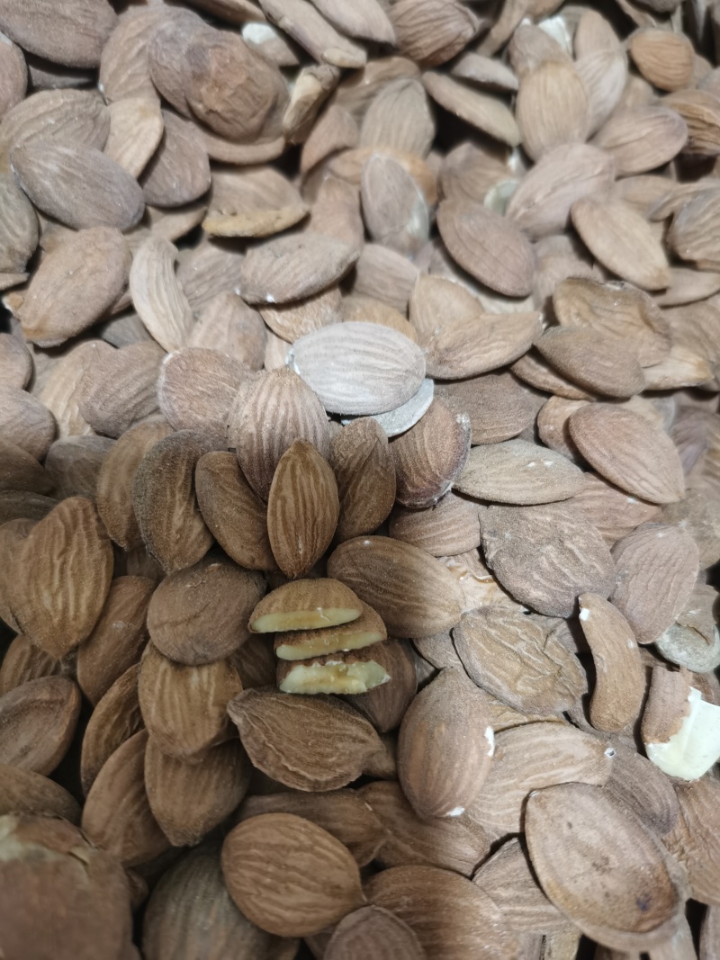 桃仁正品家种扁桃仁颗粒饱满批发零售各种中药材