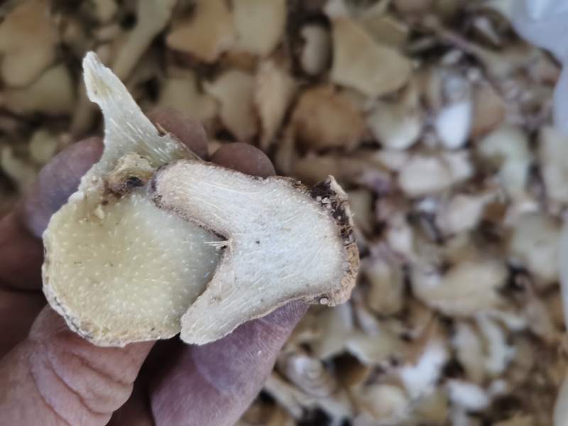 白芨白芨片正品无硫白芨片泽润中药批发零售