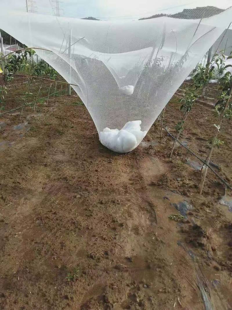 防雹网行业标准起草者，源头工厂