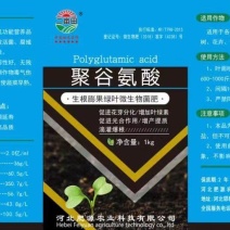 叶面肥聚谷氨酸每瓶10,快速膨果，生根壮根，抗病抗逆