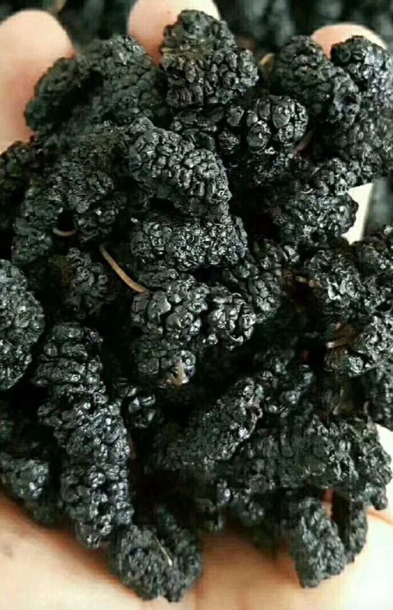 〔新货上市〕黑桑葚干特大颗粒干净无沙产地直发量大从优