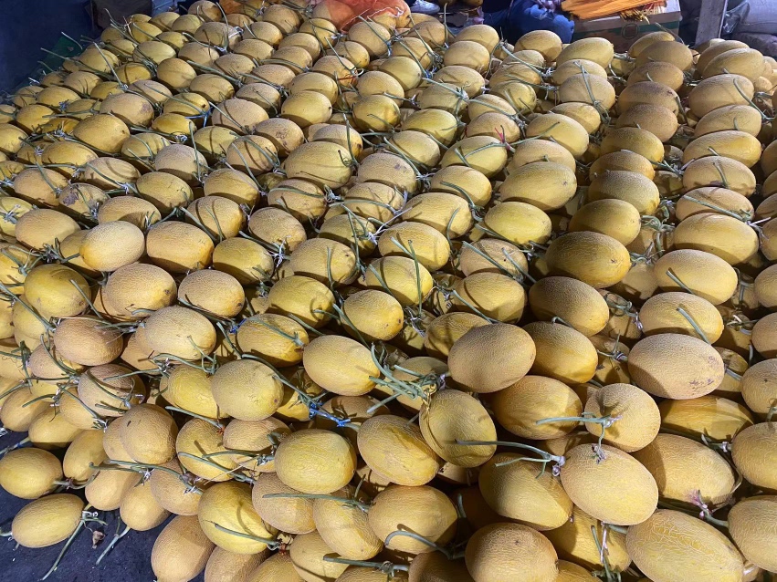 金蜜一号哈密瓜线上销售直播间画面