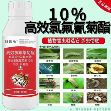 10%高效氯氟氰菊酯果树水稻甘蓝蔬菜植物玉米青虫地下害虫