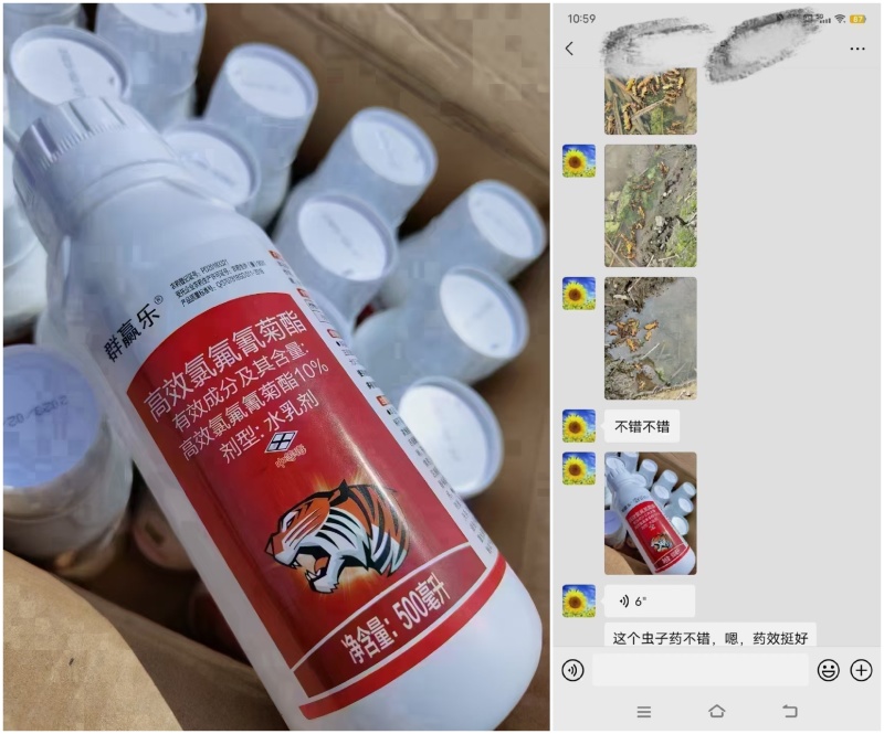 10%高效氯氟氰菊酯果树水稻甘蓝蔬菜植物玉米青虫地下害虫
