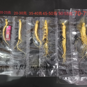[保鲜人参]抖快代发淘拼定制量大谈价