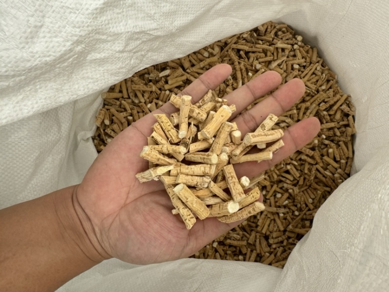 【优质】大叶牛大力新鲜牛大力干货牛大力根段根片