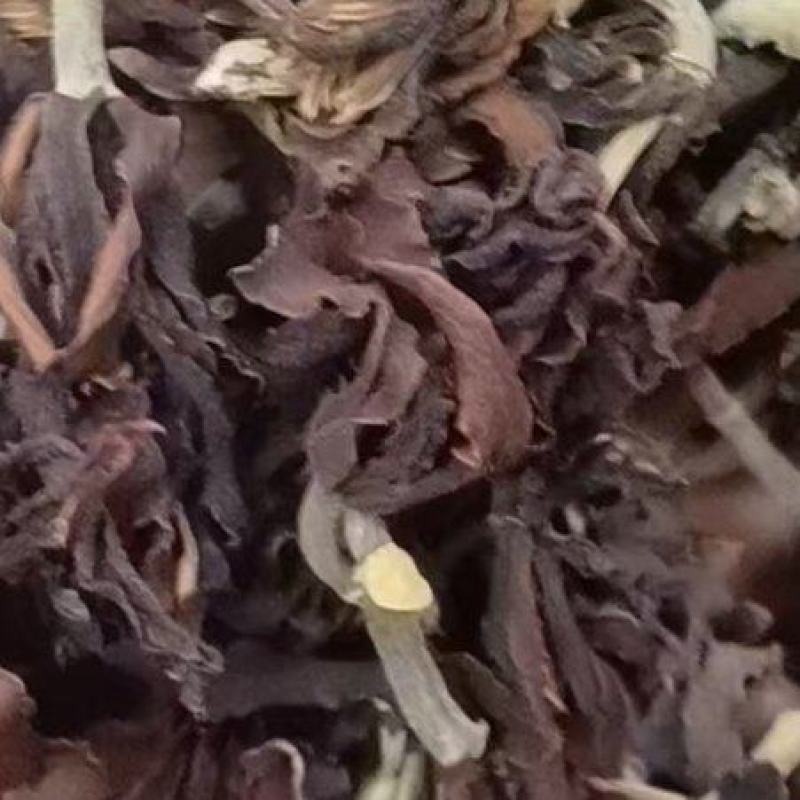 玉兰花