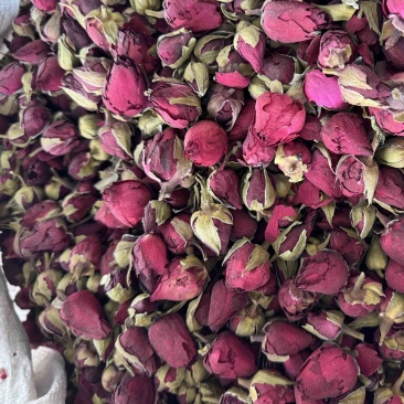 月季花月季花茶药用月季花实物拍摄