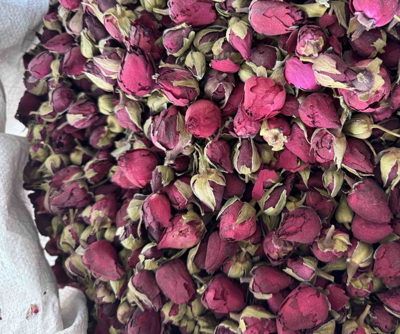 月季花月季花茶药用月季花实物拍摄