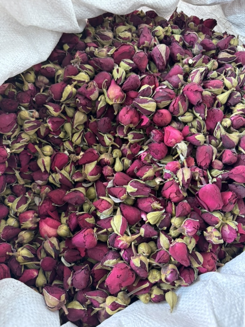 月季花月季花茶药用月季花实物拍摄