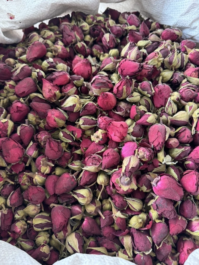 月季花月季花茶药用月季花实物拍摄