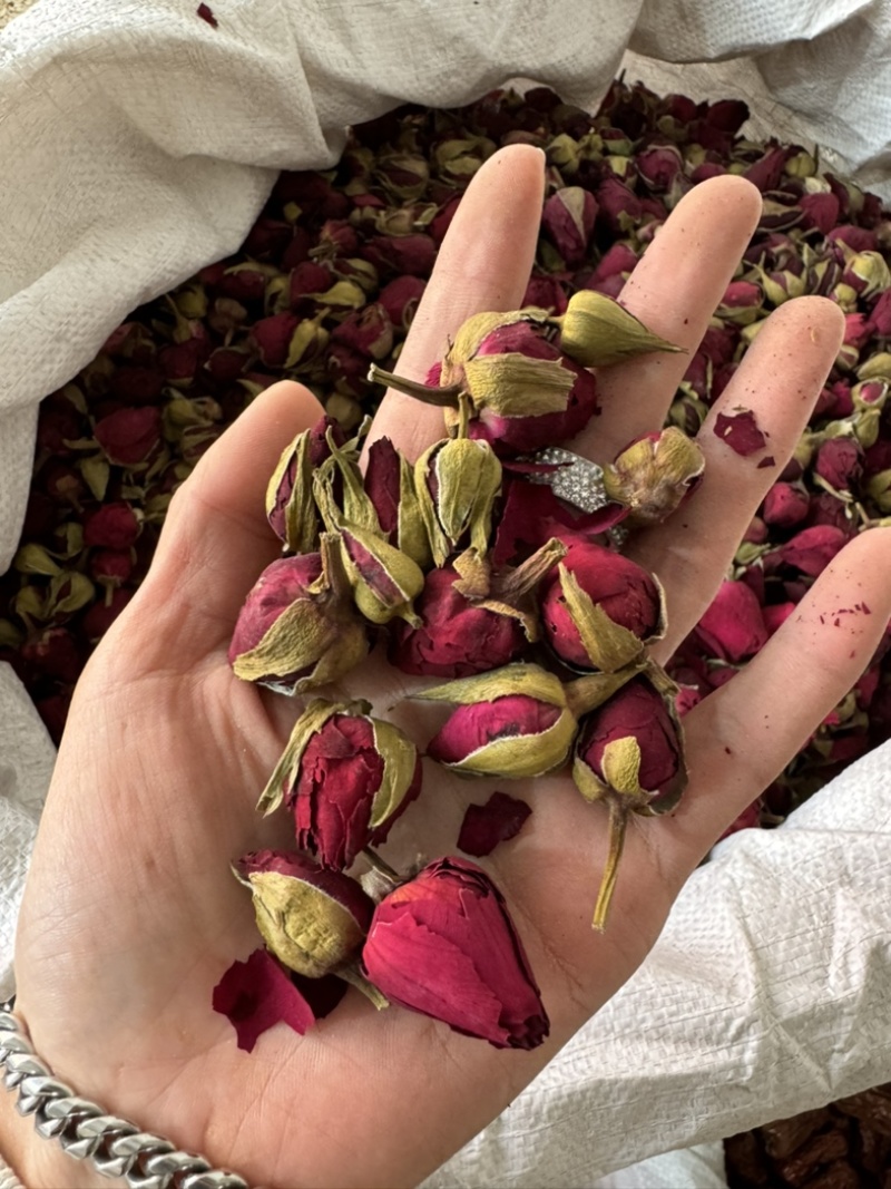 月季花月季花茶药用月季花实物拍摄