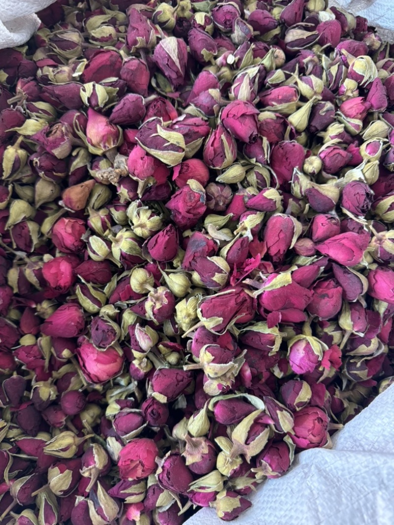 月季花月季花茶药用月季花实物拍摄