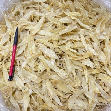 豆仁胶鱼胶花胶