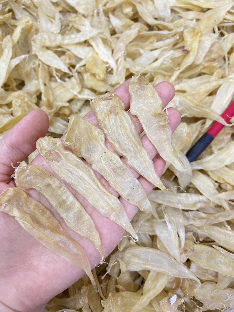 豆仁胶鱼胶花胶