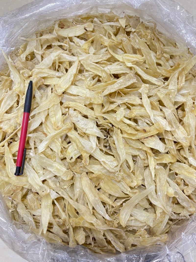 豆仁胶鱼胶花胶