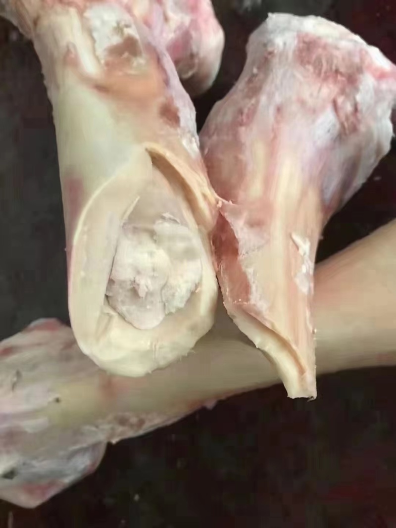 适合熬汤的牛大骨量大从优