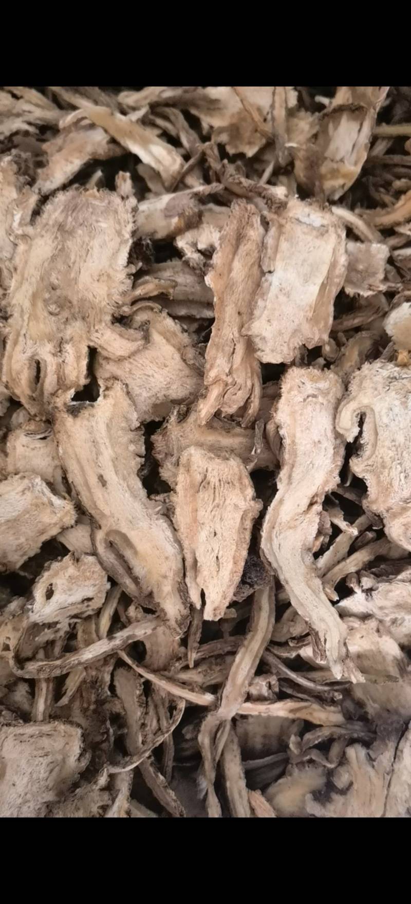 当归一棵树全归片选甘肃岷县货关书药业