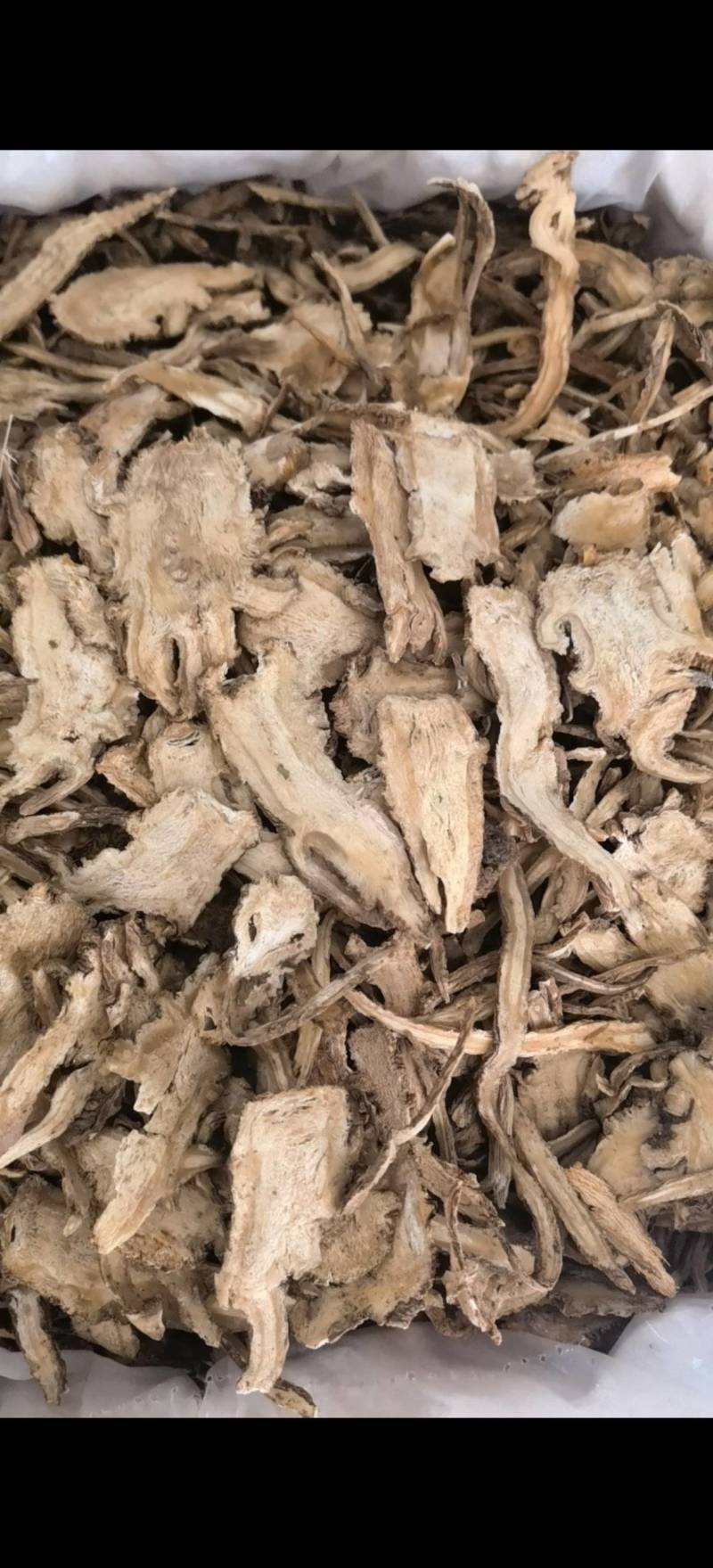 当归一棵树全归片选甘肃岷县货关书药业