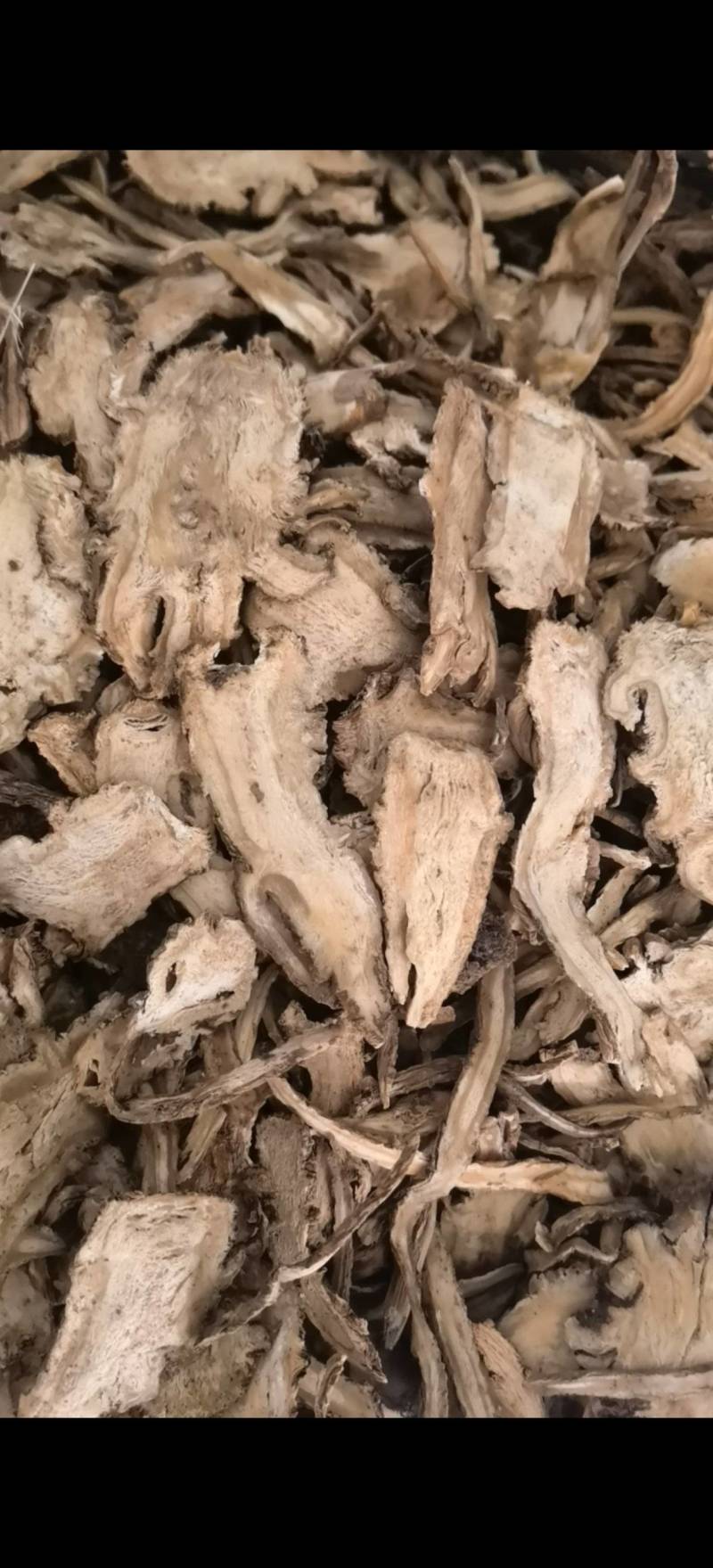 当归一棵树全归片选甘肃岷县货关书药业