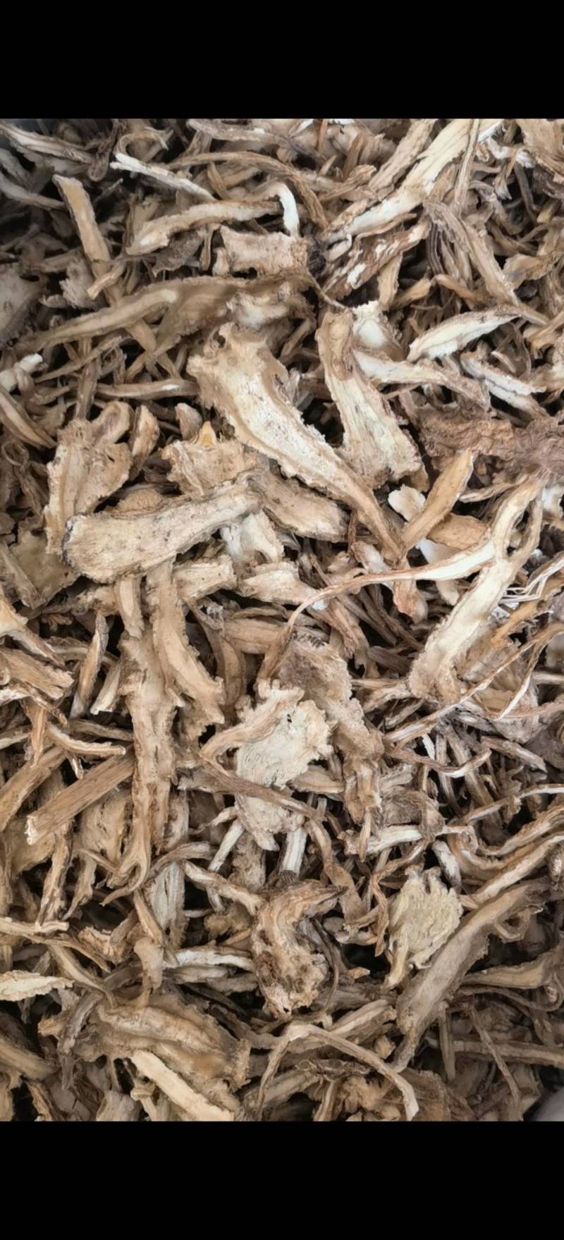 当归过0.3筛全归片水洗关书药业