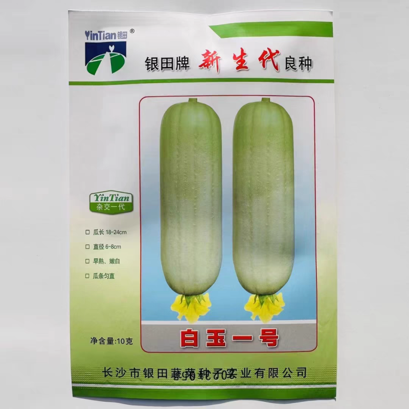 白丝瓜种子白玉一号丝瓜种子短棒型早熟肉丝瓜种子
