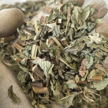 薄荷关书药业批发中药材规格齐全全棵薄荷叶，