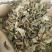 薄荷关书药业批发中药材规格齐全全棵薄荷叶，
