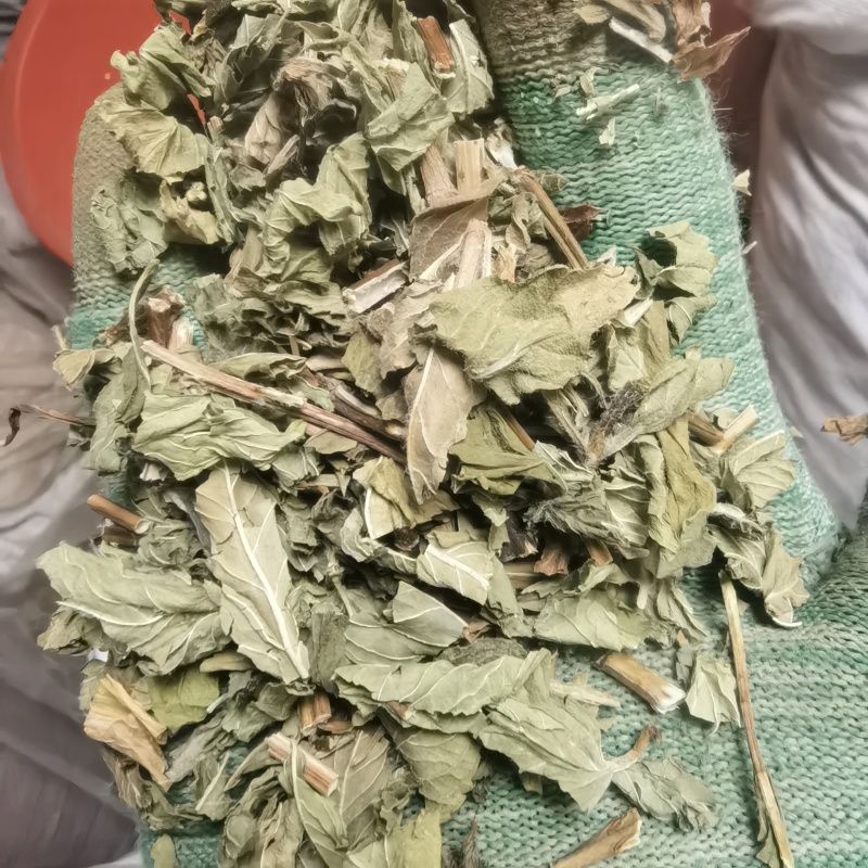 薄荷关书药业批发中药材规格齐全全棵薄荷叶，