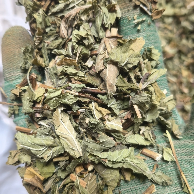 薄荷关书药业批发中药材规格齐全全棵薄荷叶，