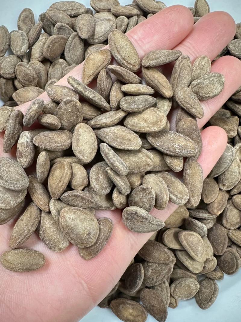 【包邮】吊瓜子大颗粒炒货奶油原味批发坚果零食正品瓜蒌仁