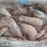 厄瓜多尔虾1.4Kg10盒南美白对虾王牌卡玛欧玛莎