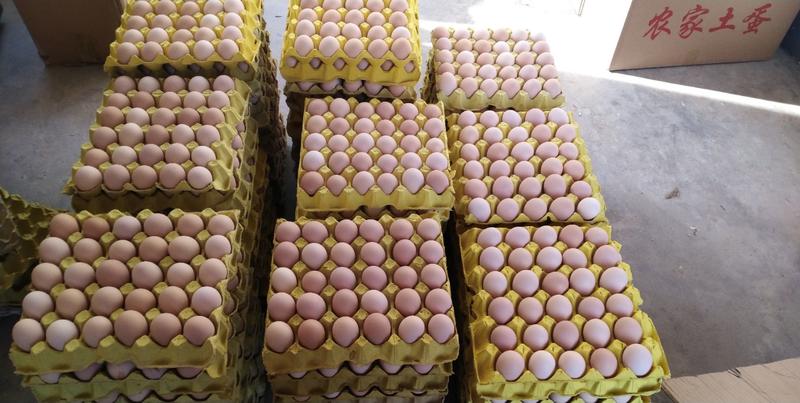 成都大批量出粉壳红壳鸡蛋各类蛋品齐全，成都市内免费送货上