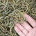 正品野生化石草正品肾精草肾精茶本草新鲜无硫中草肾茶