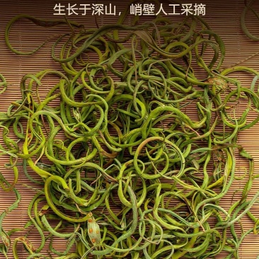 正品野生化石草正品肾精草肾精茶本草新鲜无硫中草肾茶