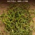 正品野生化石草正品肾精草肾精茶本草新鲜无硫中草肾茶