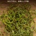 正品野生化石草正品肾精草肾精茶本草新鲜无硫中草肾茶