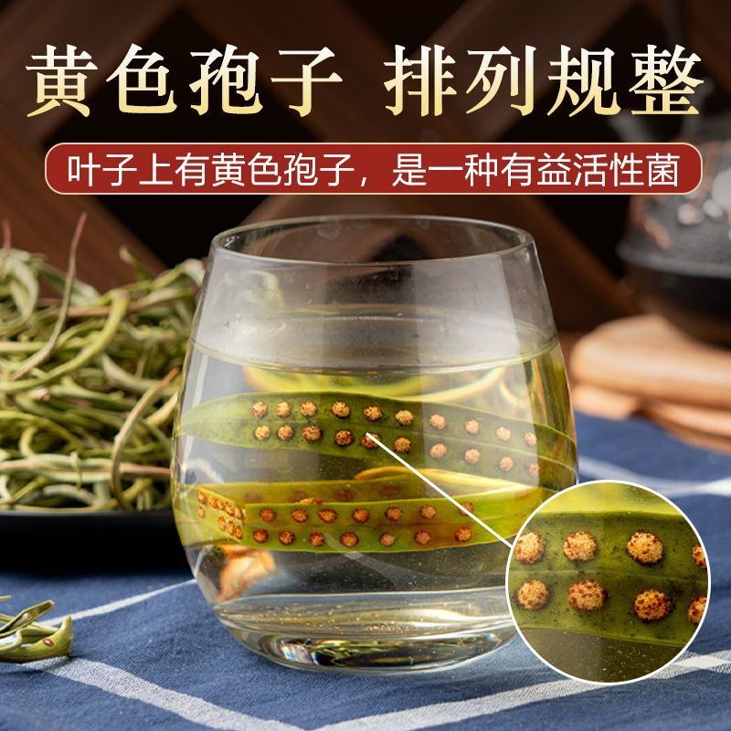正品野生化石草正品肾精草肾精茶本草新鲜无硫中草肾茶