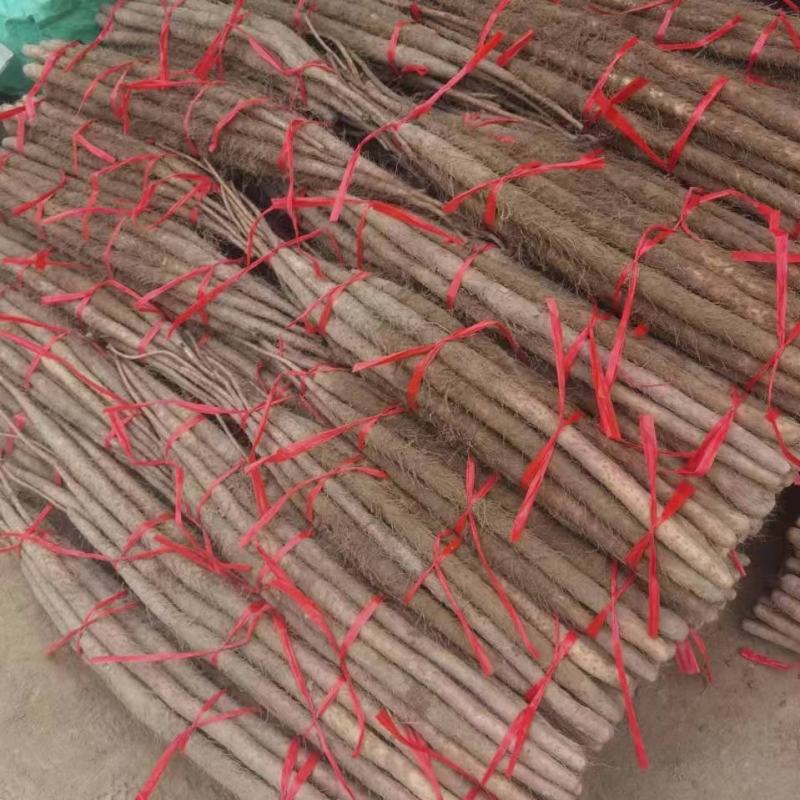 灵宝铁棍山药量特别大，货好价低，物有所值。
