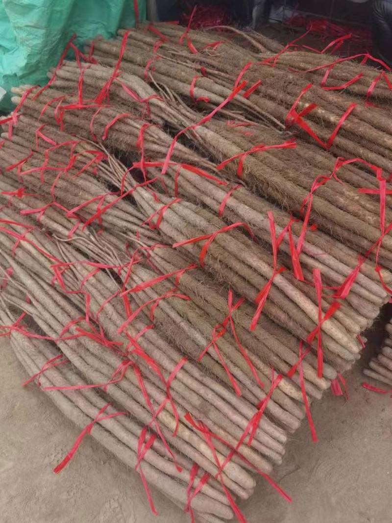 灵宝铁棍山药量特别大，货好价低，物有所值。