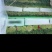 江苏徐州蒜薹精品白帽蒜薹现摘现发商超品质来电优惠